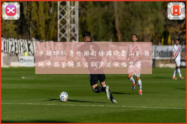 中超球队身价排行榜揭晓泰山队领跑申花紧随其后铜梁龙涨幅显著