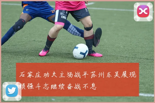 石家庄功夫主场战平苏州东吴展现顽强斗志继续奋战不息