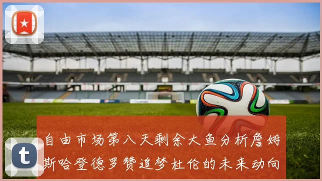 自由市场第八天剩余大鱼分析詹姆斯哈登德罗赞追梦杜伦的未来动向
